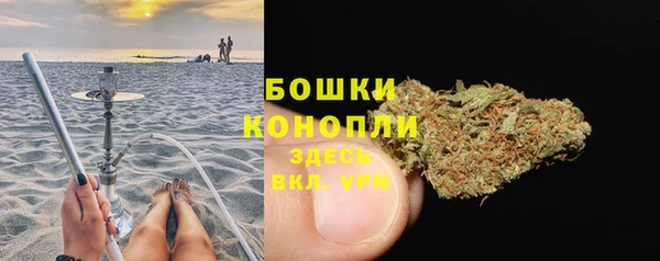 стафф Богородск