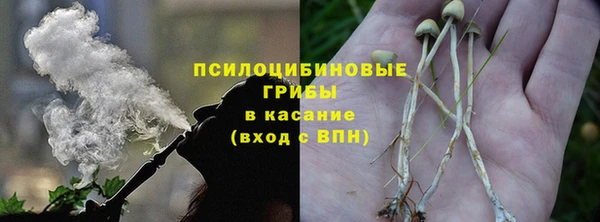 мяу мяу мука Богданович