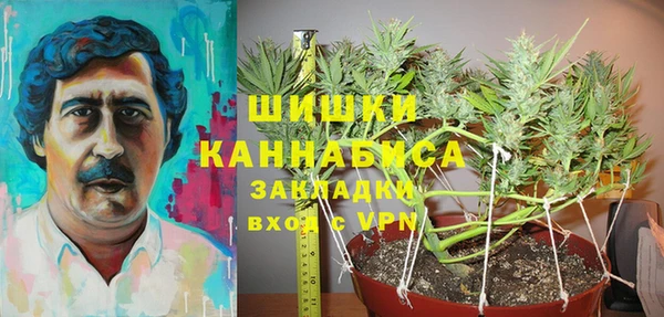 стафф Богородск
