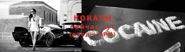 мяу мяу мука Богданович