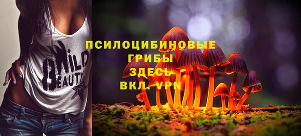 мяу мяу мука Богданович
