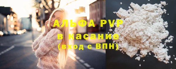 мяу мяу мука Богданович
