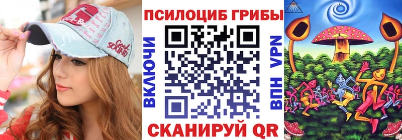 закладка  Копейск  ссылка на мегу ссылка  Псилоцибиновые грибы Psilocybine cubensis 